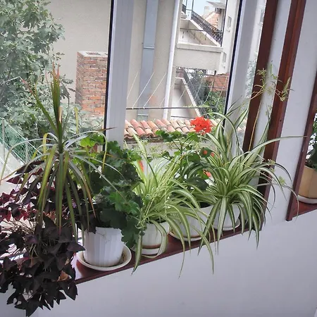 Prodanov Maison d'hôtes 3*
